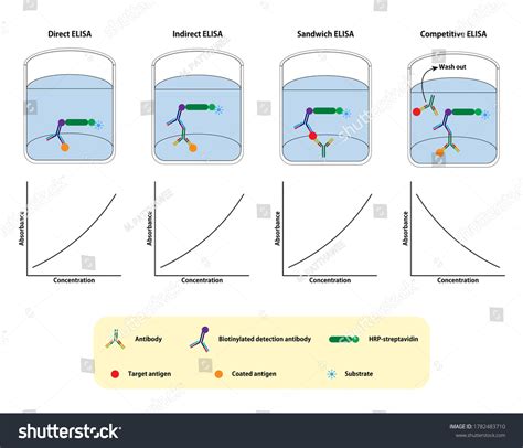 elisa test and types|different types of elisa assays.